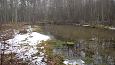 Beaver dam at th ditch, Kiigumisa | Gallery Vormsi, Suurallikas (Great spring), February 2017 