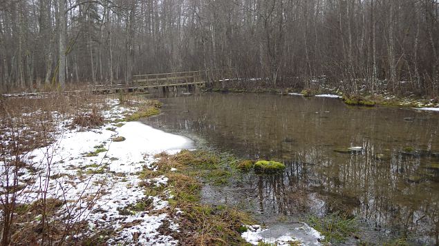 Vormsi, Suurallikas (Great spring), February 2017 