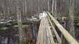 Expert Mari Reitalu,monitoring of the springfen, Viidume | Gallery Vormsi, Allika nature trail, F