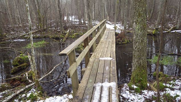 Vormsi, Allika nature trail, February, 2017 