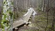 Ditch between the meliorated land (left) and edge of the spr.. | Gallery Vormsi, Allika nature tra