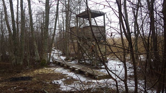 Vormsi, Allika nature trail and lookout, February, 2017 