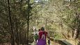 Tufa forming spring, Vormsi, May 2014 | Gallery Viidume, Allikasoo trail, 20th of May 2017 