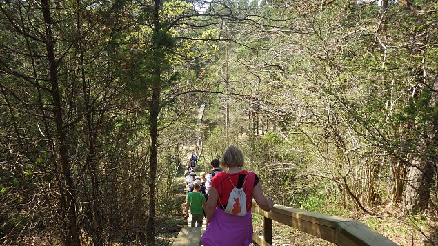 Viidume, Allikasoo trail, 20th of May 2017 