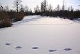 Katkendlik omaaegne Laeva jõgi | Galerii Karisto oja (Laeva jõgi), veebruar 2014 