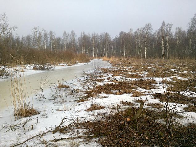 Taasavatud Karisto oja kallas 