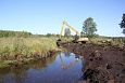 Kinnikasvanud lõik, Karisto oja (laeva jõgi) | Galerii Laeva jõe taastamine, august 2015 