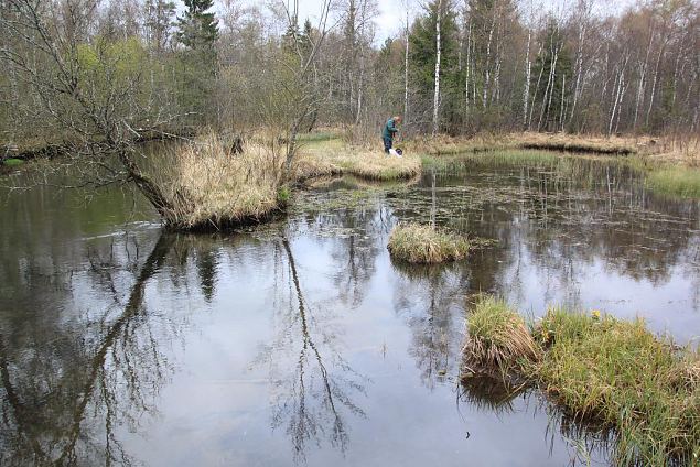 Jgala jgi (vasakul) ja allikajrv Kiigumisas 