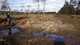 Allikas Prästviki järve kirdenurgas metsas, aprill 2014 | Galerii Suletud kraav ja taastatud allik