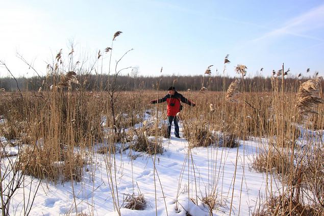 Preparation for conservation activities