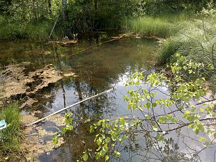 New spring at Kiigumisa