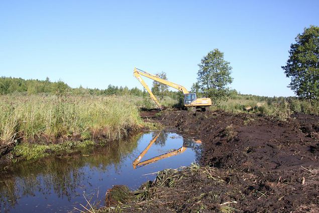 River restoration work started!