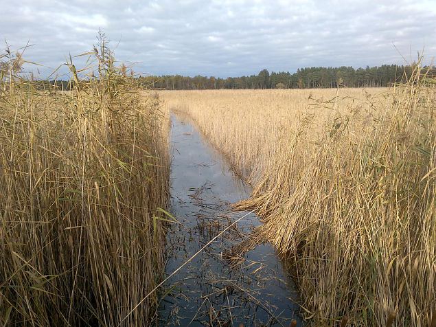 Work at lake Prstviki