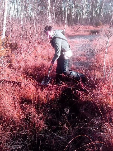 First spring habitat restoration at Krvemaa