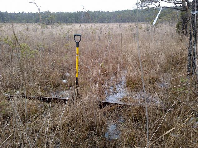 Restoration work started at Viidume