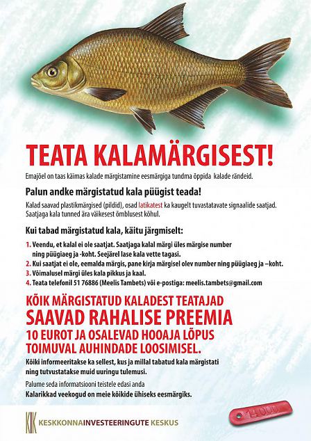 Tagasta kalamrgis!