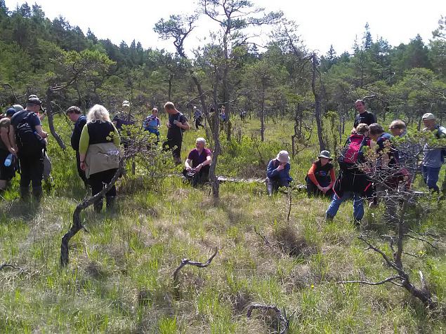 Rahvusvaheline seminar Viidumel