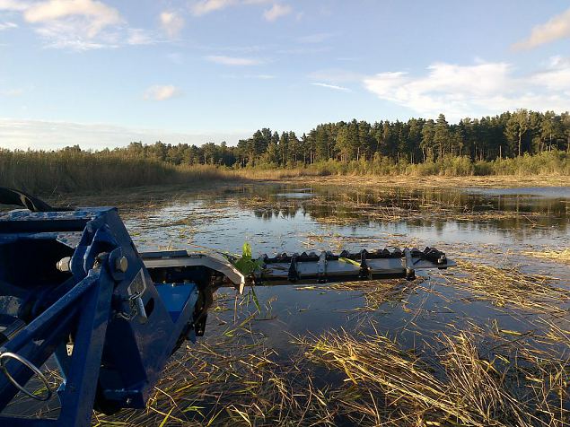 Work at Vormsi island