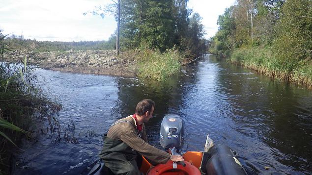 Restoration work at levi meadow started