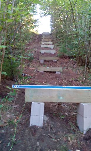 First meters of nature trail