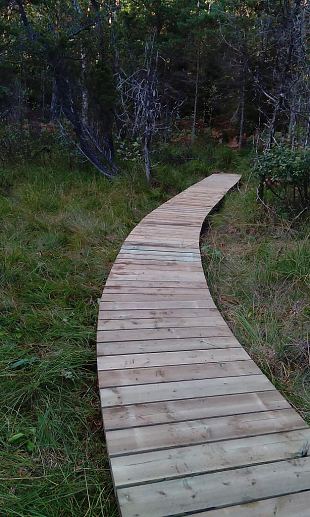 First meters of nature trail