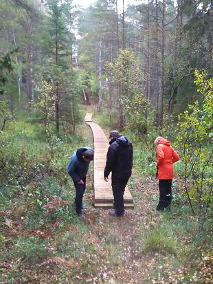 Nature trail construction at Viidume finished