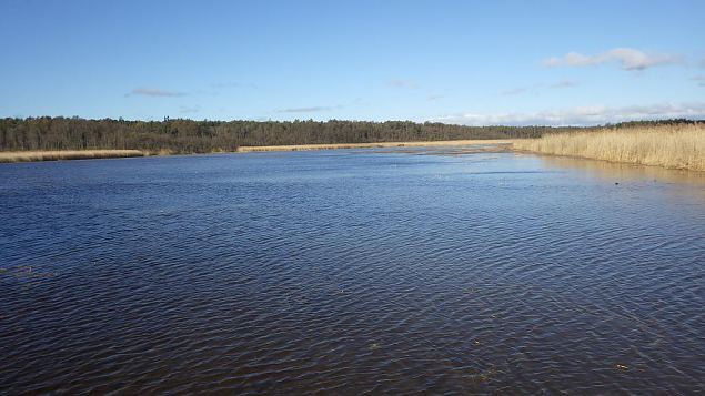 10 hektarit Prästvike järve taasavatud