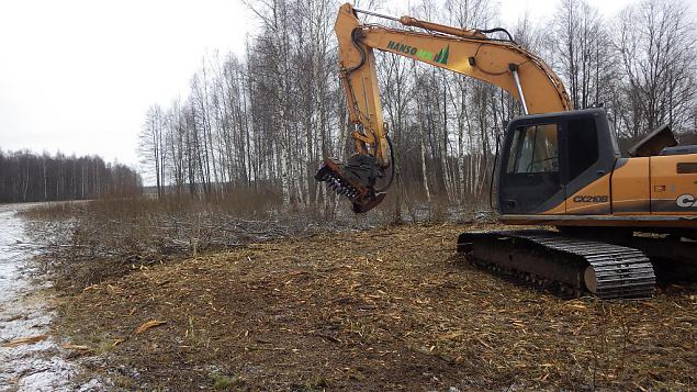 Maintenance of the Aiu floodplain