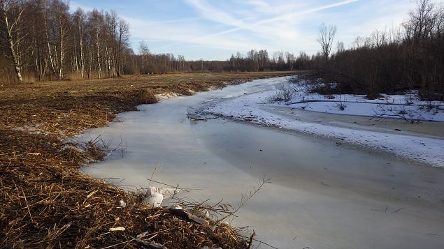 Restoration of the floodplain is finished!