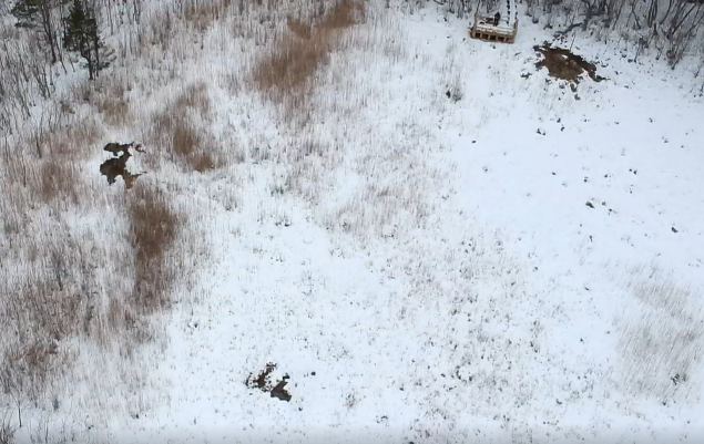 Tufa forming springs from the air