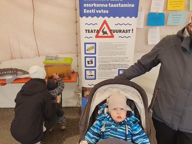 Avatud kalasadamate p�ev P�rnus 2025 