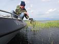 Monitoring of the habitat, measuring the fish | Pildigalerii 