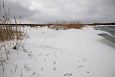 Spring at Alam-Pedja floodplain | Alam-Pedja Wild boars have been here 