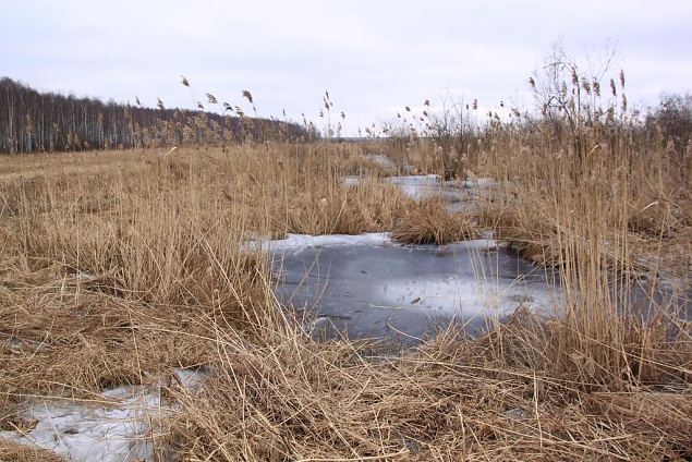 Project site, winter 2013 