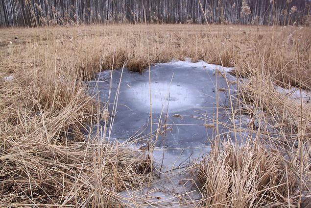 Project site, winter 2013 