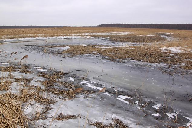 Project site, winter 2013 