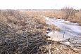 Gallery Project site, cleaning the riverbank, spring 2014 