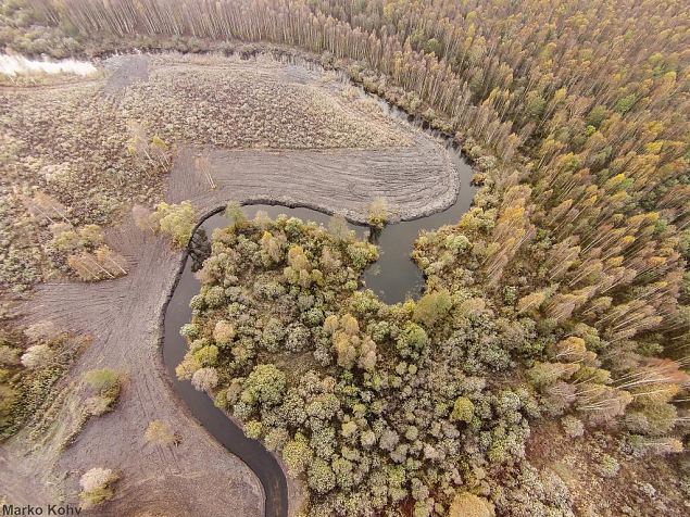 Laeva river, Aiu floodplain, after restoring 