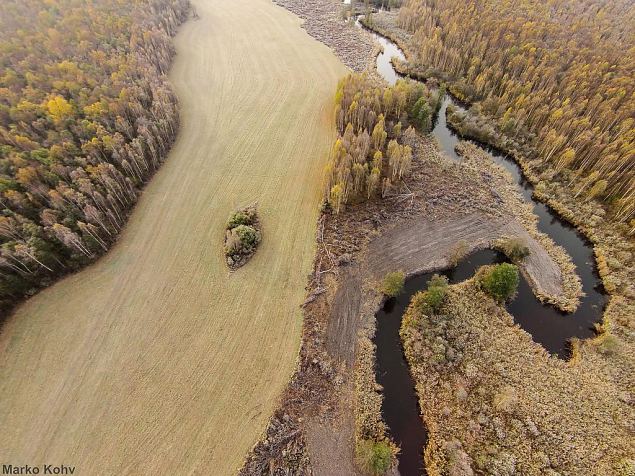 Laeva river, Aiu floodplain, after restoration 