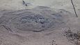 Tufa sediments in spring, Kiigumisa | Gallery One of the Kiigumisa springs 