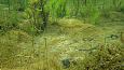 Tufa sediments in spring, Kiigumisa | Gallery Spring lake, Kiigumisa 