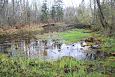 Tufa sediments in spring, Kiigumisa | Gallery Spring and the brook, Kiigumisa 