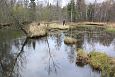 Tufa sediments in spring, Kiigumisa | Gallery River Jgala (left and spring lake (rght), Kiigumi