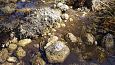 Tufa sediments in spring, Kiigumisa | Gallery Tufa sediments, Viidume 