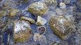 Tufa sediments in spring, Kiigumisa | Gallery Tufa sediments on the stone, Viidume 