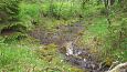 Tufa sediments in spring, Kiigumisa | Gallery Springs, Viidume 