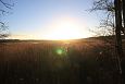 Spring and springfen, Viidume | Gallery Lake Prstvike, December 2013 