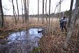 Tufa sediments in spring, Kiigumisa | Gallery Spring on the island, lake Prastvike, december 2013