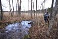 Tufa sediments, one of springs on Vormsi | Gallery Spring on the island, lake Prastvike, december 