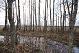 Tufa sediments in spring, Kiigumisa | Gallery Spring brook, small island in lake Prstvike (E), d